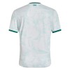 Camiseta de fútbol Irlanda Segunda Equipación 2025-26 - Hombre